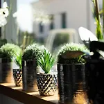 Feriehus Casa Nera *